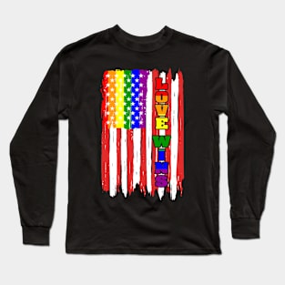 American Flag Gay Day Love Wins Graphic Long Sleeve T-Shirt